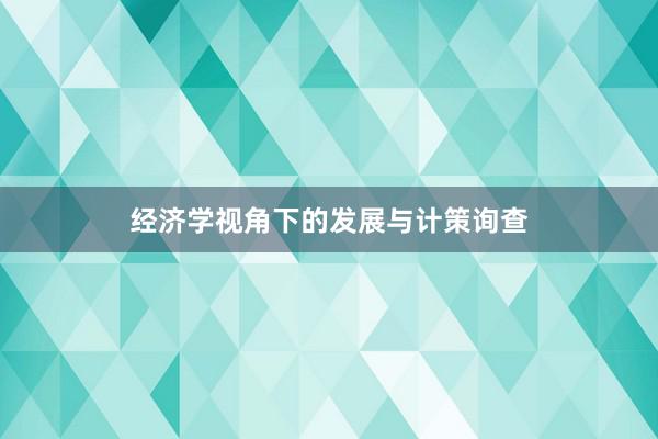经济学视角下的发展与计策询查